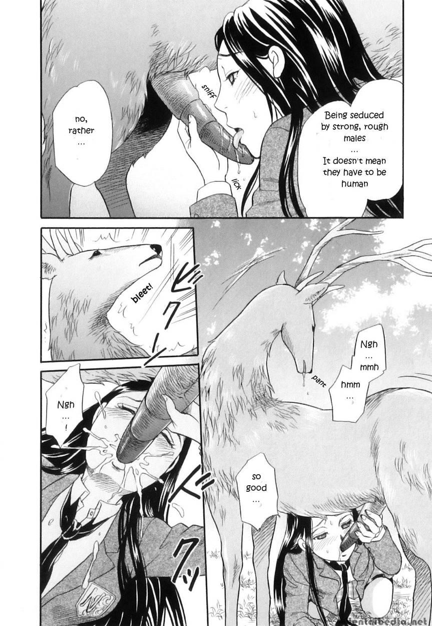 Divine Deer Forest ~girls' Whereabouts~ 1