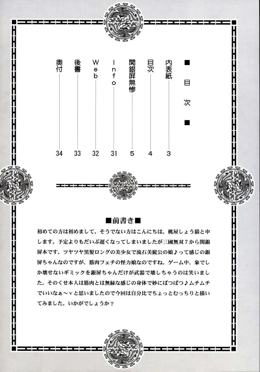 Dynasty Warriros Dj - Guan Yinping Muzan 1