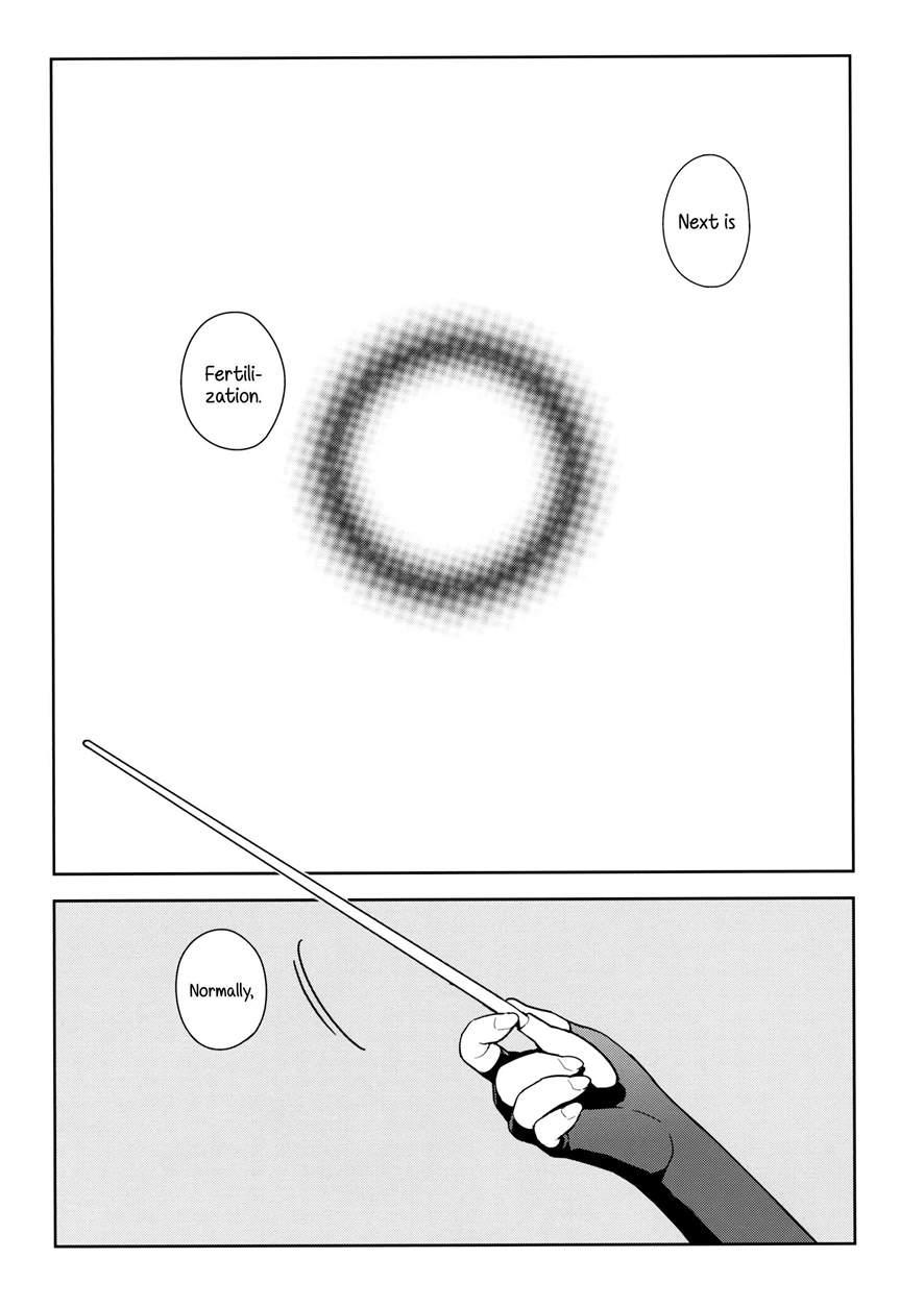 Eggs 1