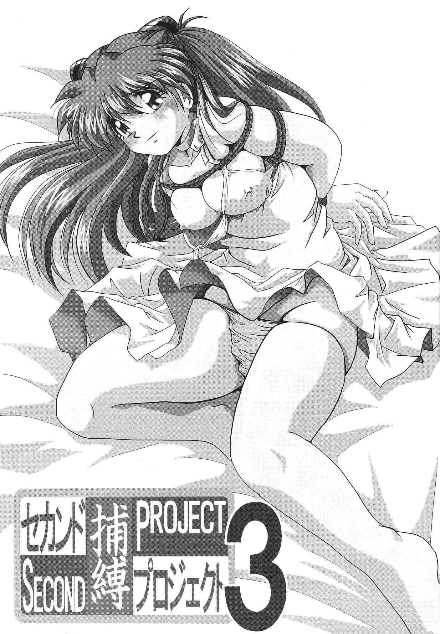 Evangelion Dj - Second Hobaku Project 1
