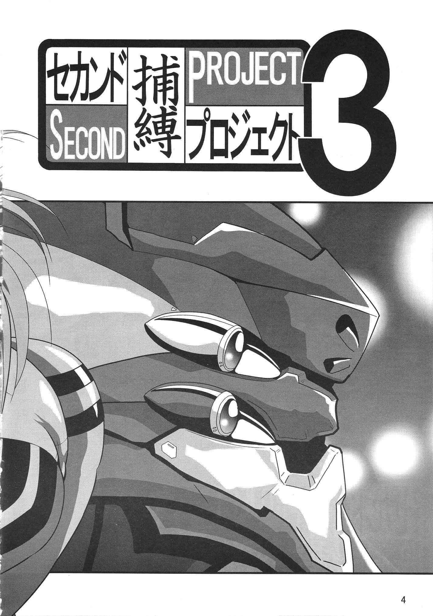 Evangelion Dj - Second Hobaku Project 1
