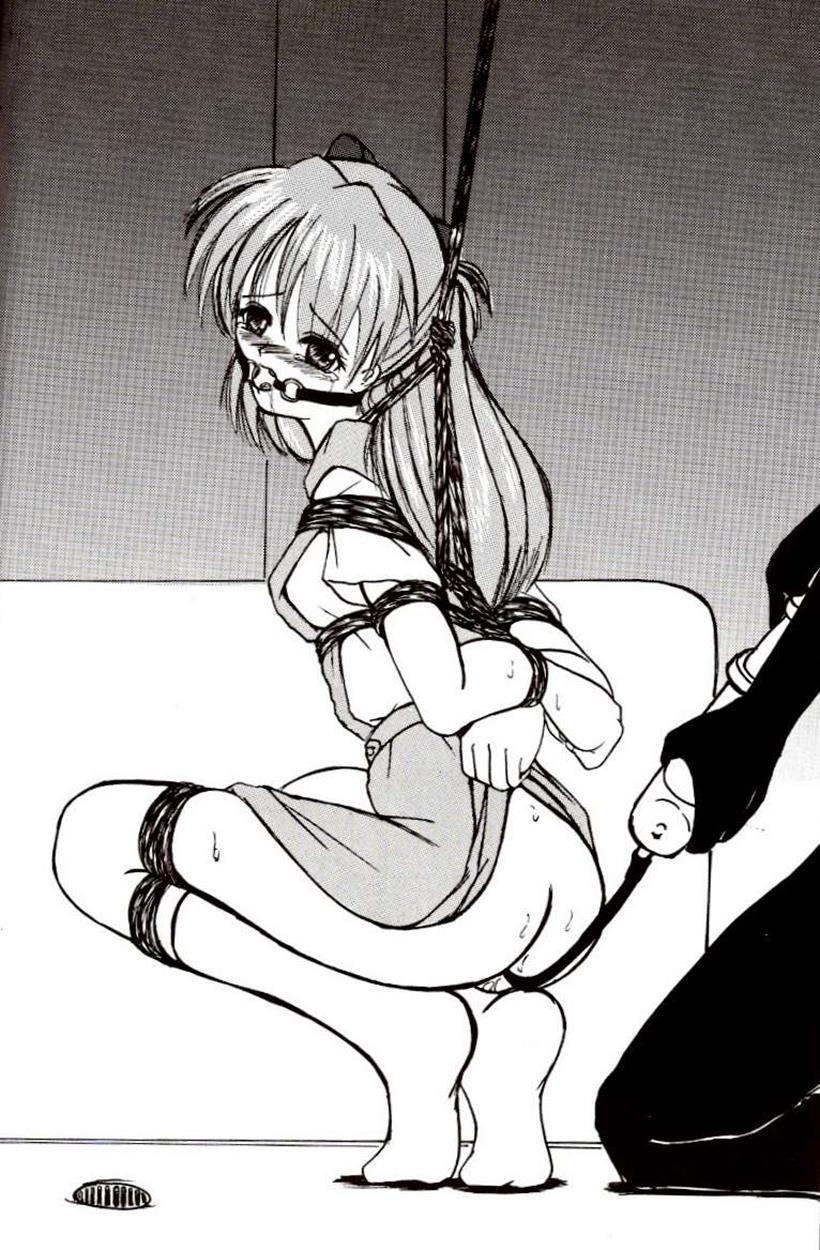 Evangelion Dj - Second Hobaku Project 2