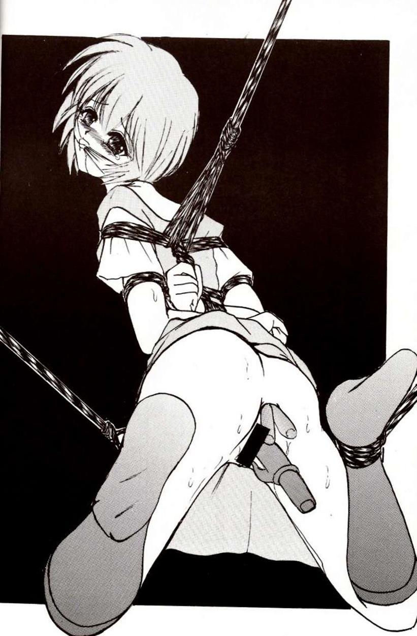 Evangelion Dj - Second Hobaku Project 2