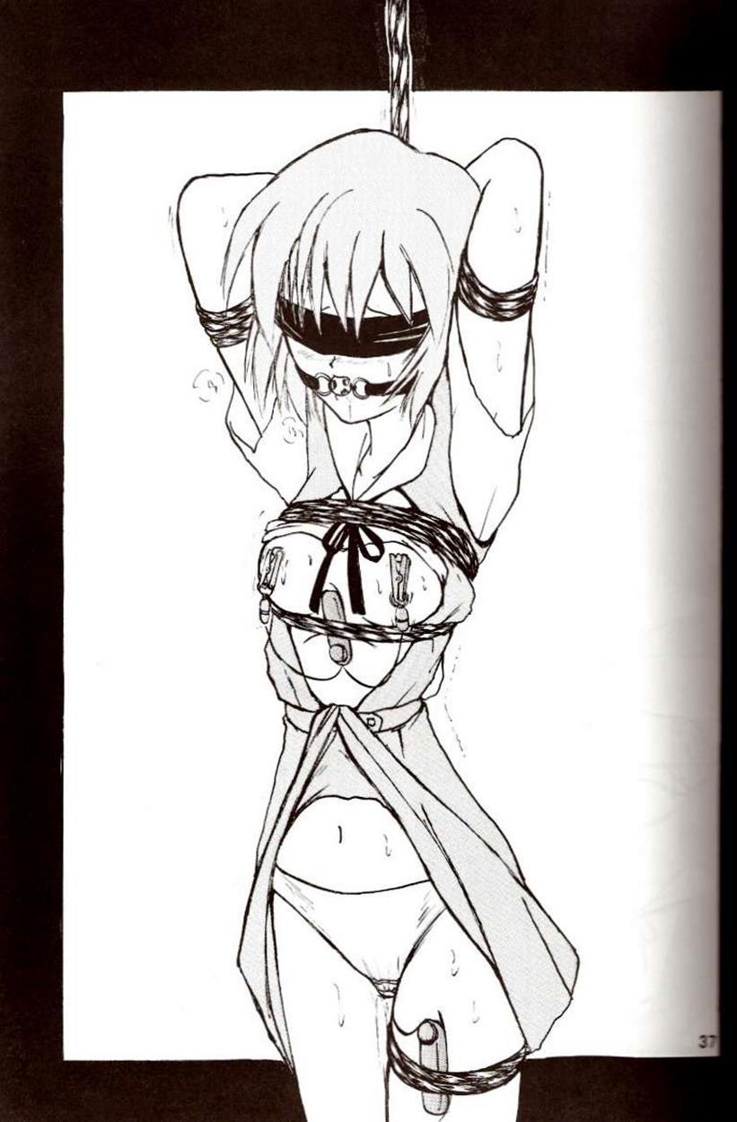 Evangelion Dj - Second Hobaku Project 2
