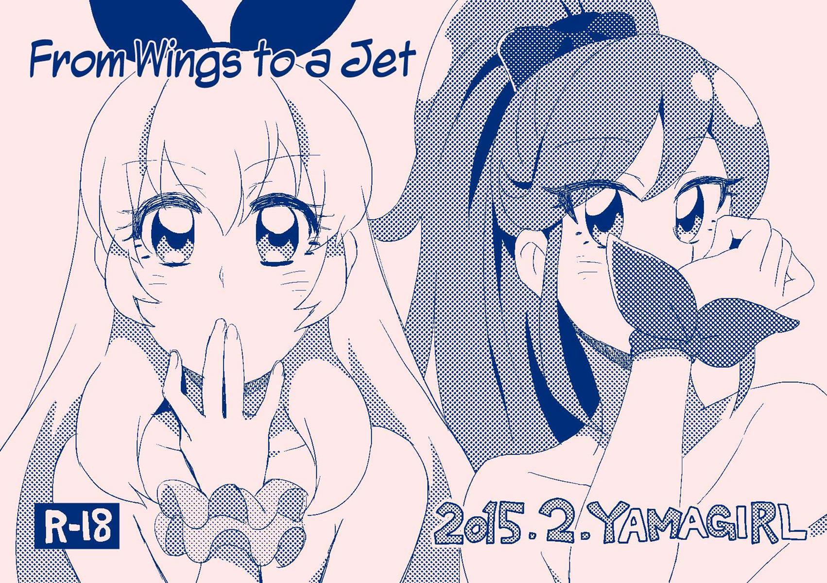 From Wings To A Jet 1