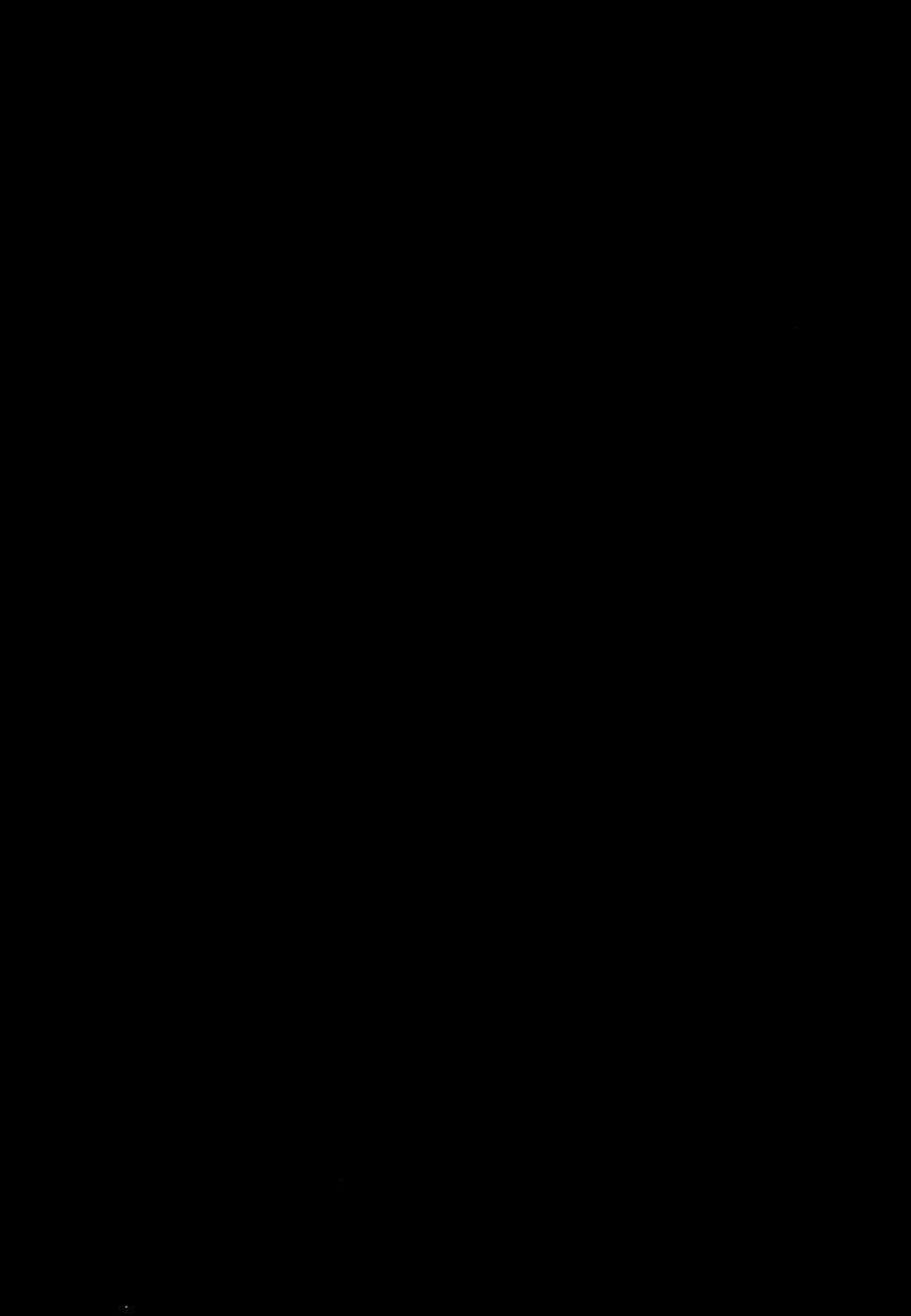 Gekishin 2