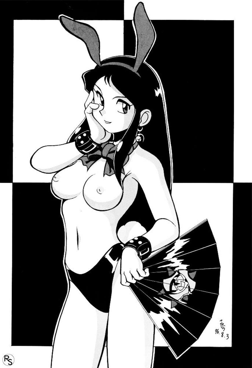 Ginrei Hon Vi 1