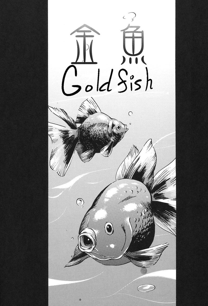 Goldfish 1