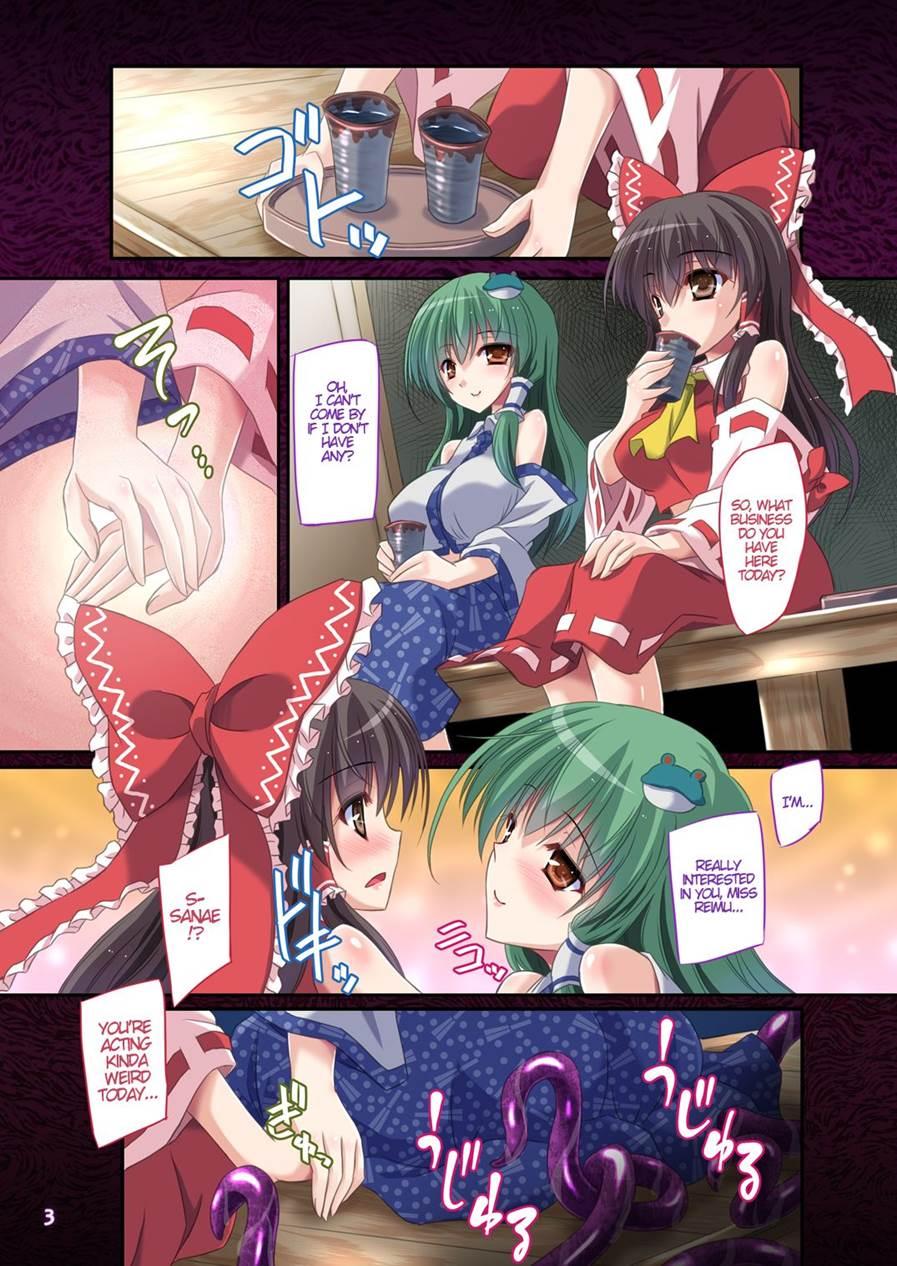 Hakurei Breeder ~kazehouri~ 2
