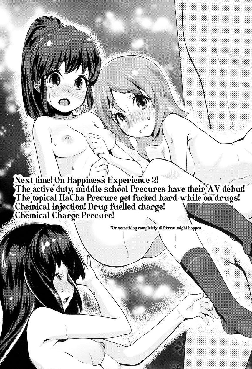 Happinesscharge Precure! Dj - Happiness Experience 1