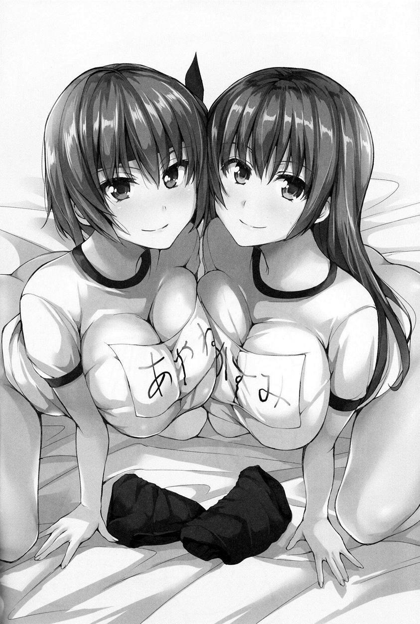Harem Variety Pack 1