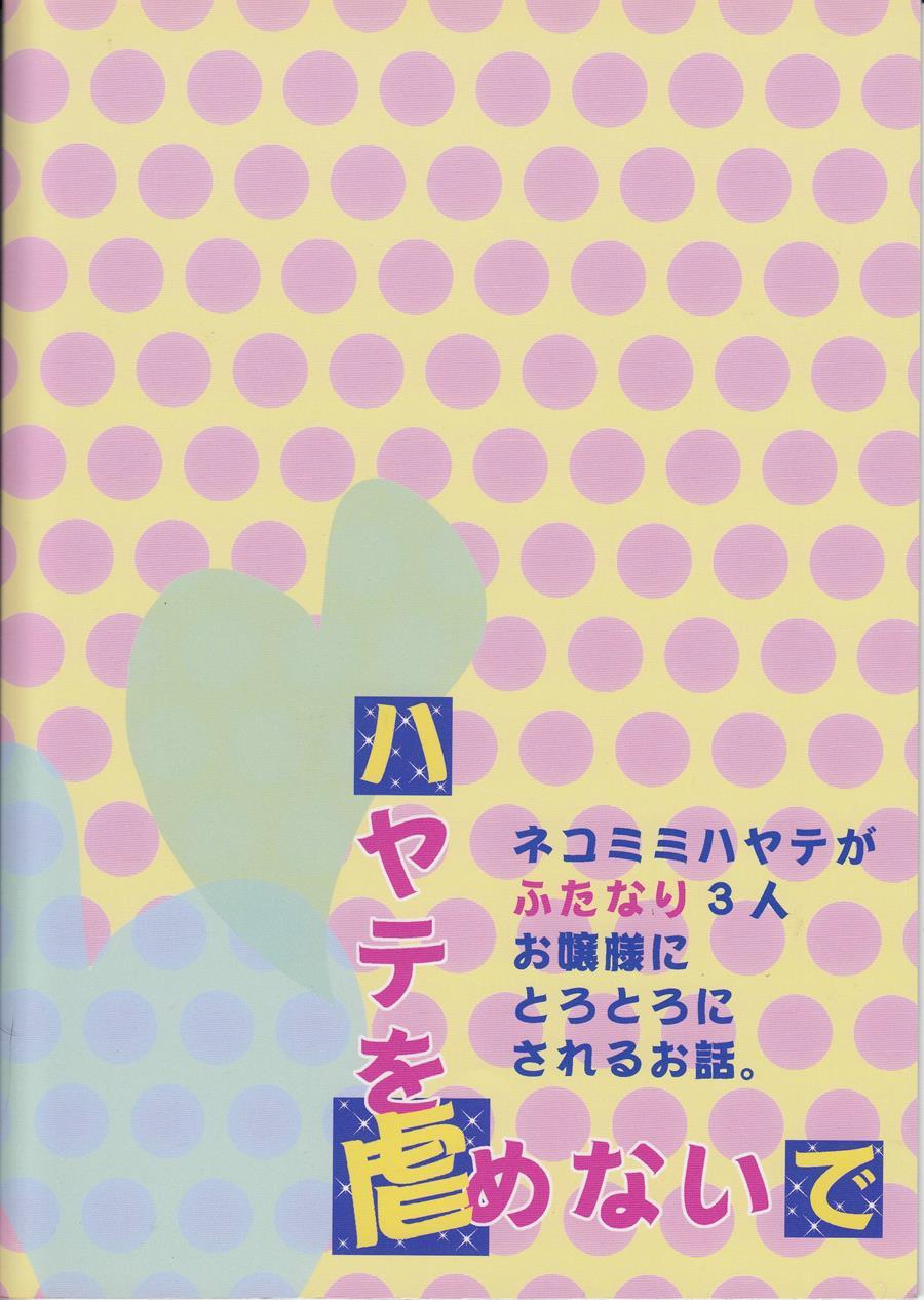 Hayate Wo Ijimenaide 1