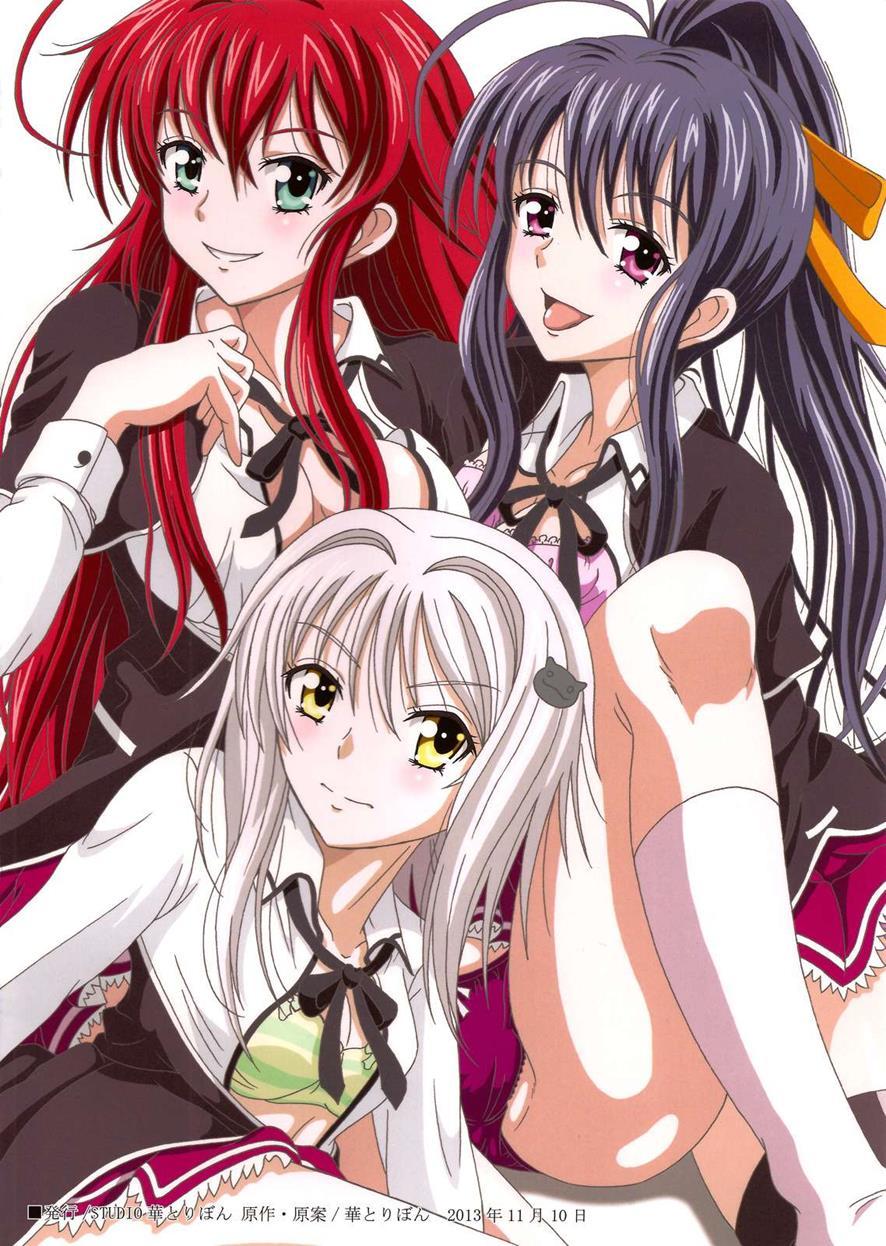 High School Dxd Dj - Seinen Hana To Ribon 57. 5 Paisukuru Dxd 1