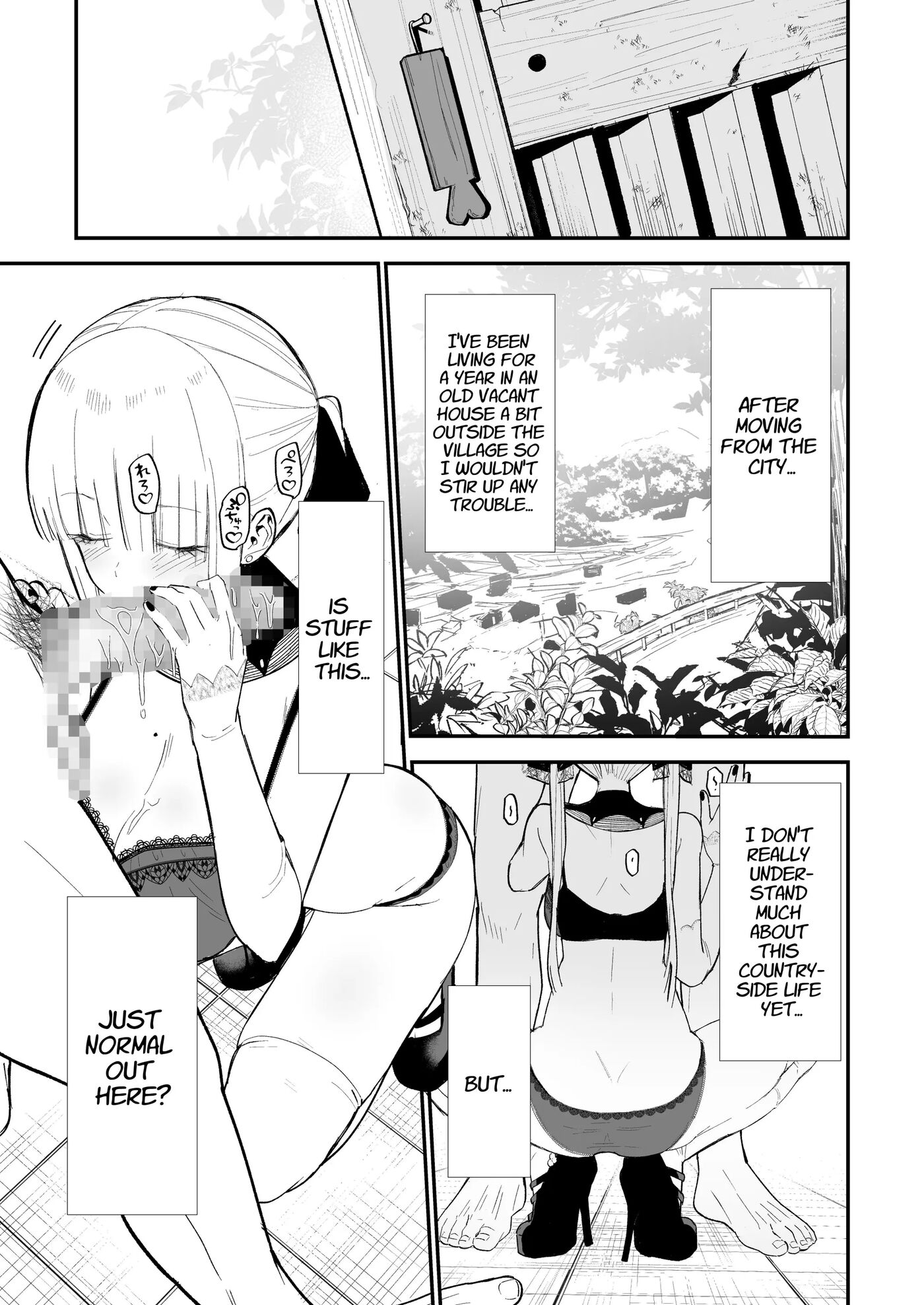 Himegoto ~the Princess's Secret: The Secret Gothic Lolita Girl I Met In The Countryside Turned Out To Be A Plain Schoolgirl~ 1