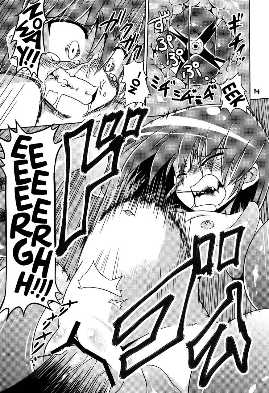 Hoshoku 1