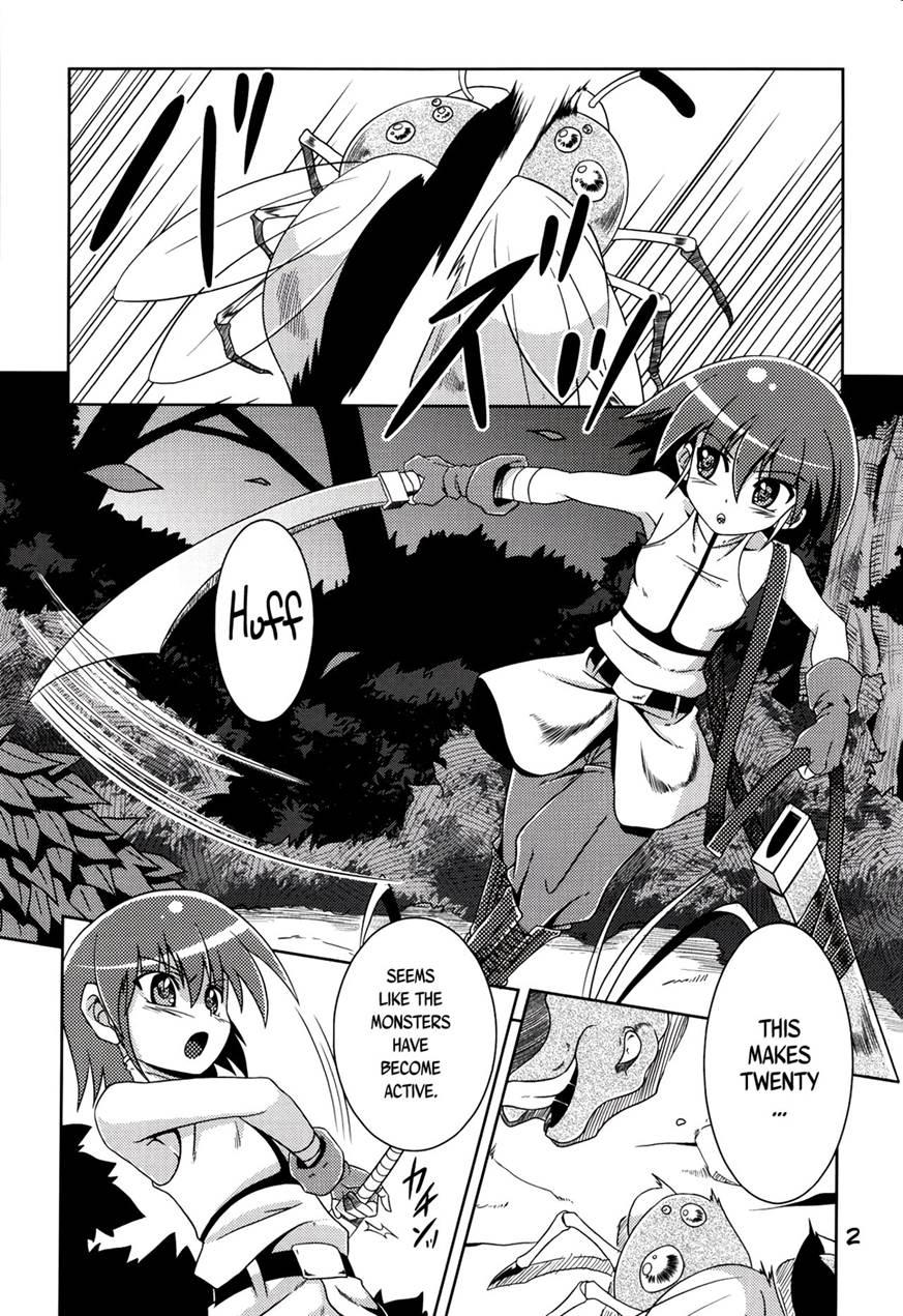 Hoshoku 1