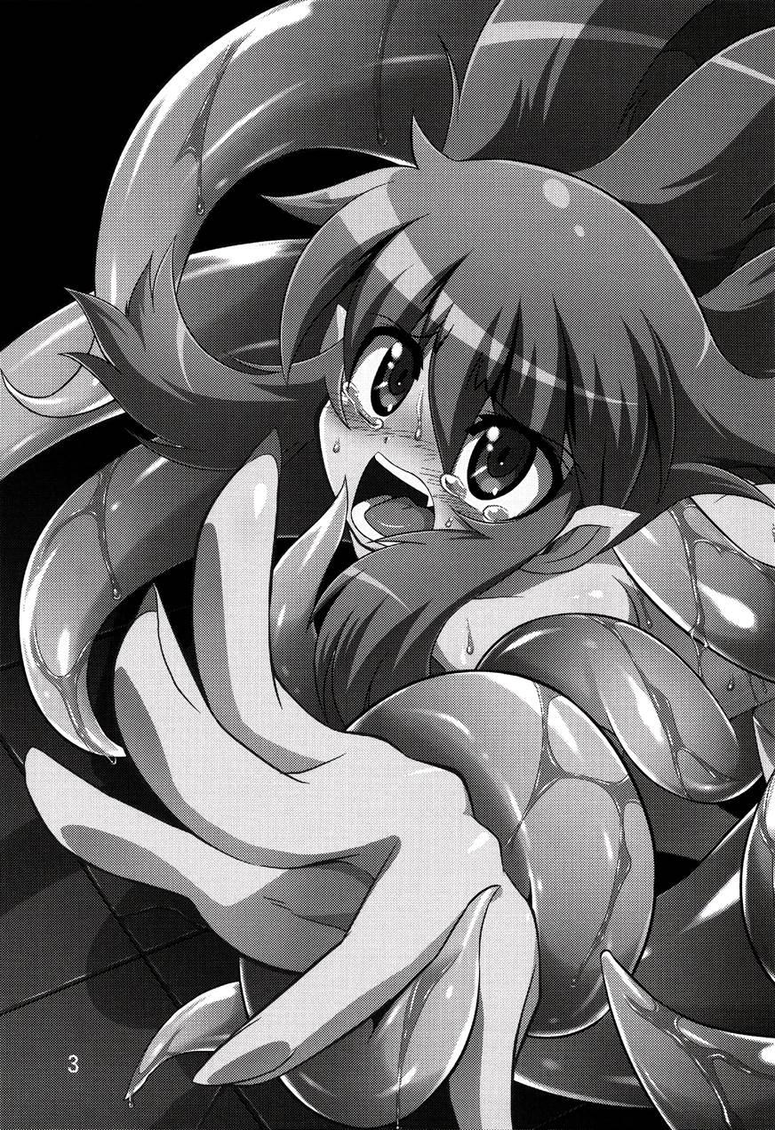 Hoshoku 2