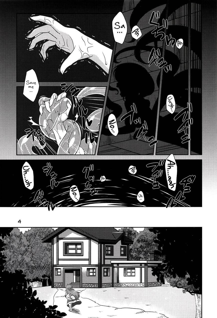 Hoshoku 2