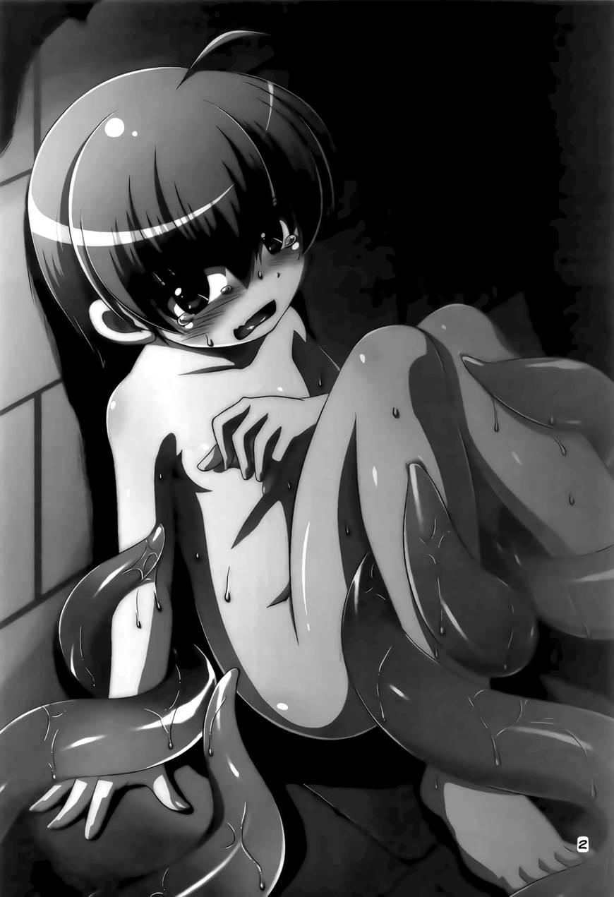 Hoshoku 3