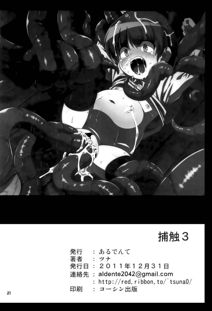 Hoshoku 3