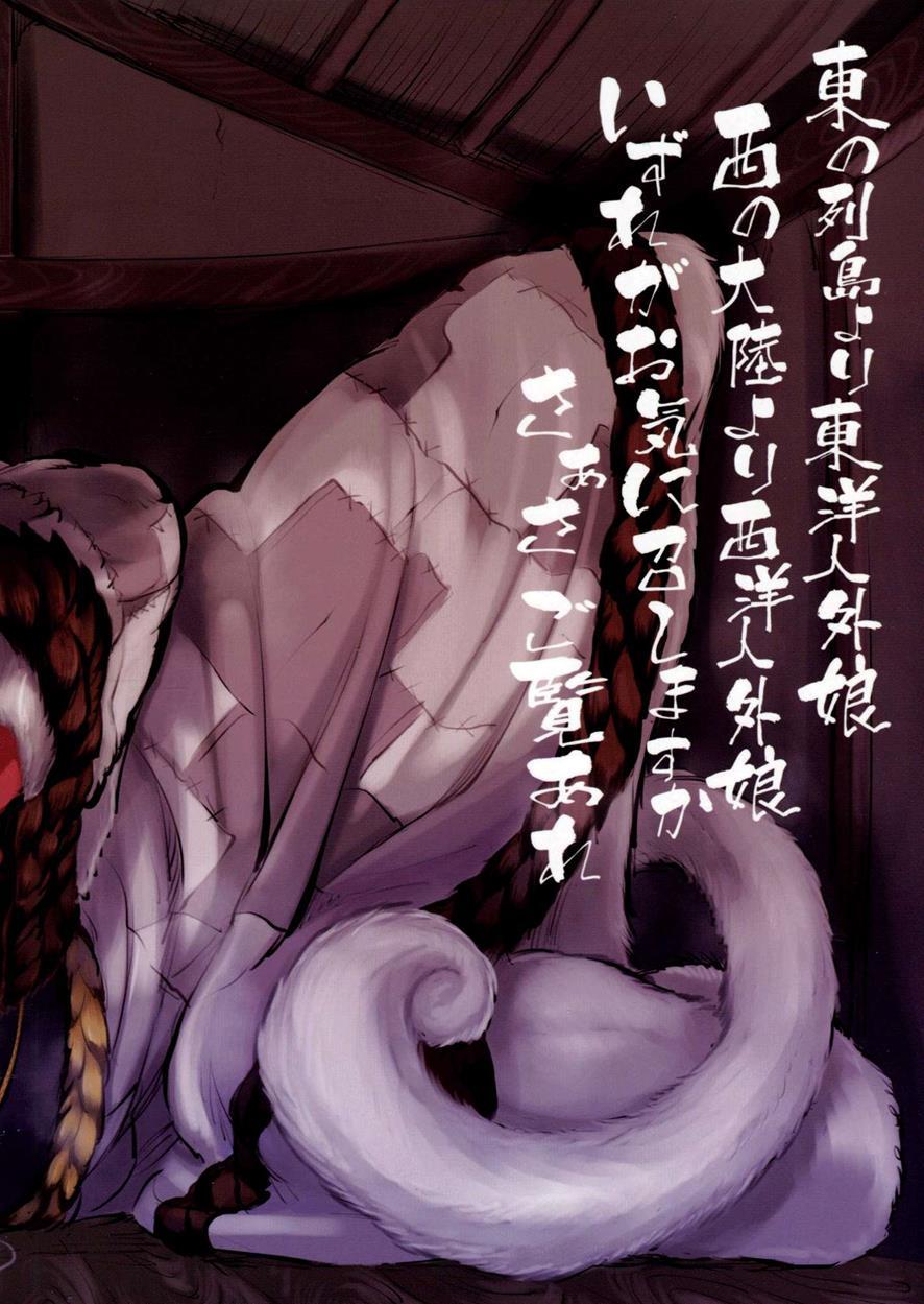 Hyakki Yakou 3