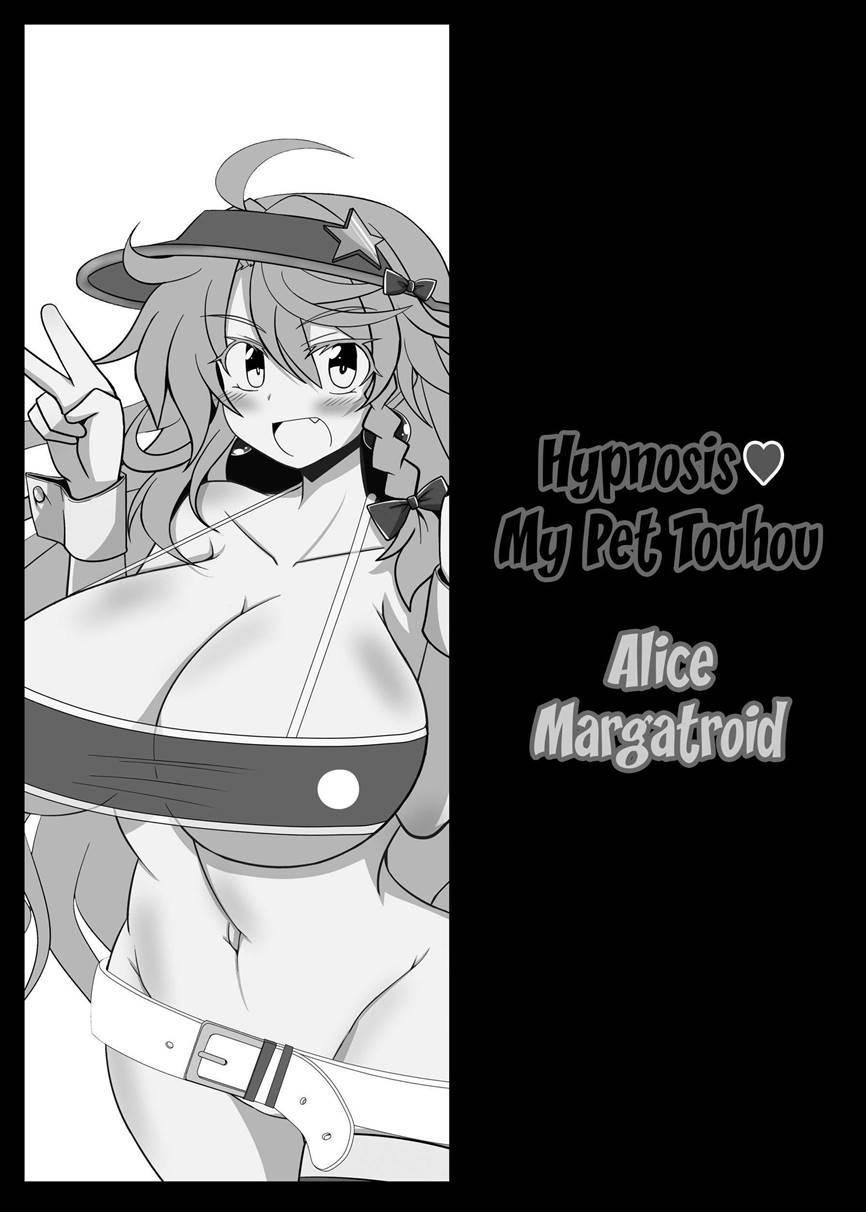 Hypnosis My Pet Touhou Alice Margatroid 1