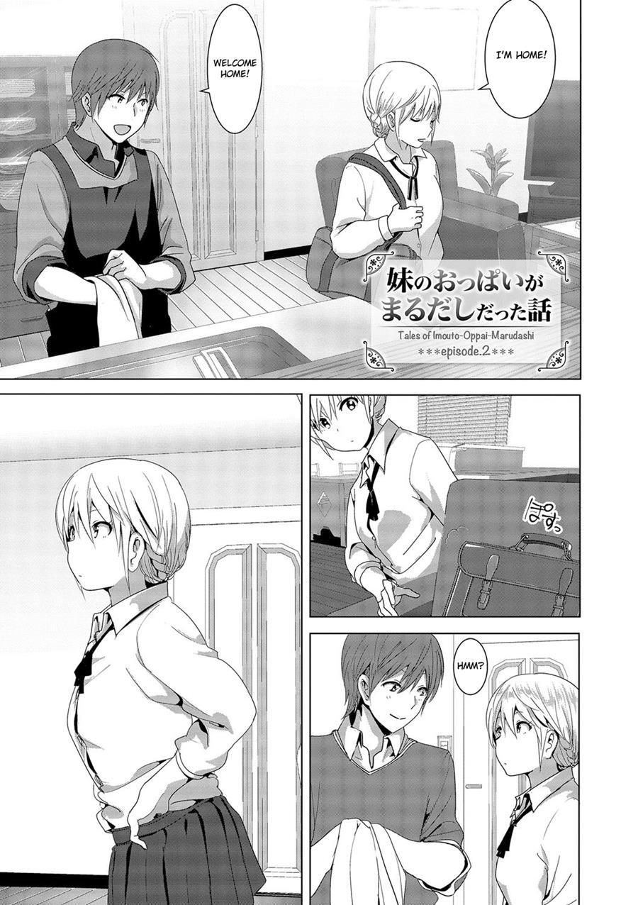 Imouto No Oppai Ga Marudashi Datta Hanashi 10