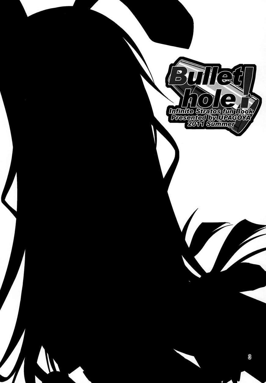 Infinite Stratos Dj - Bullet Hole! 1