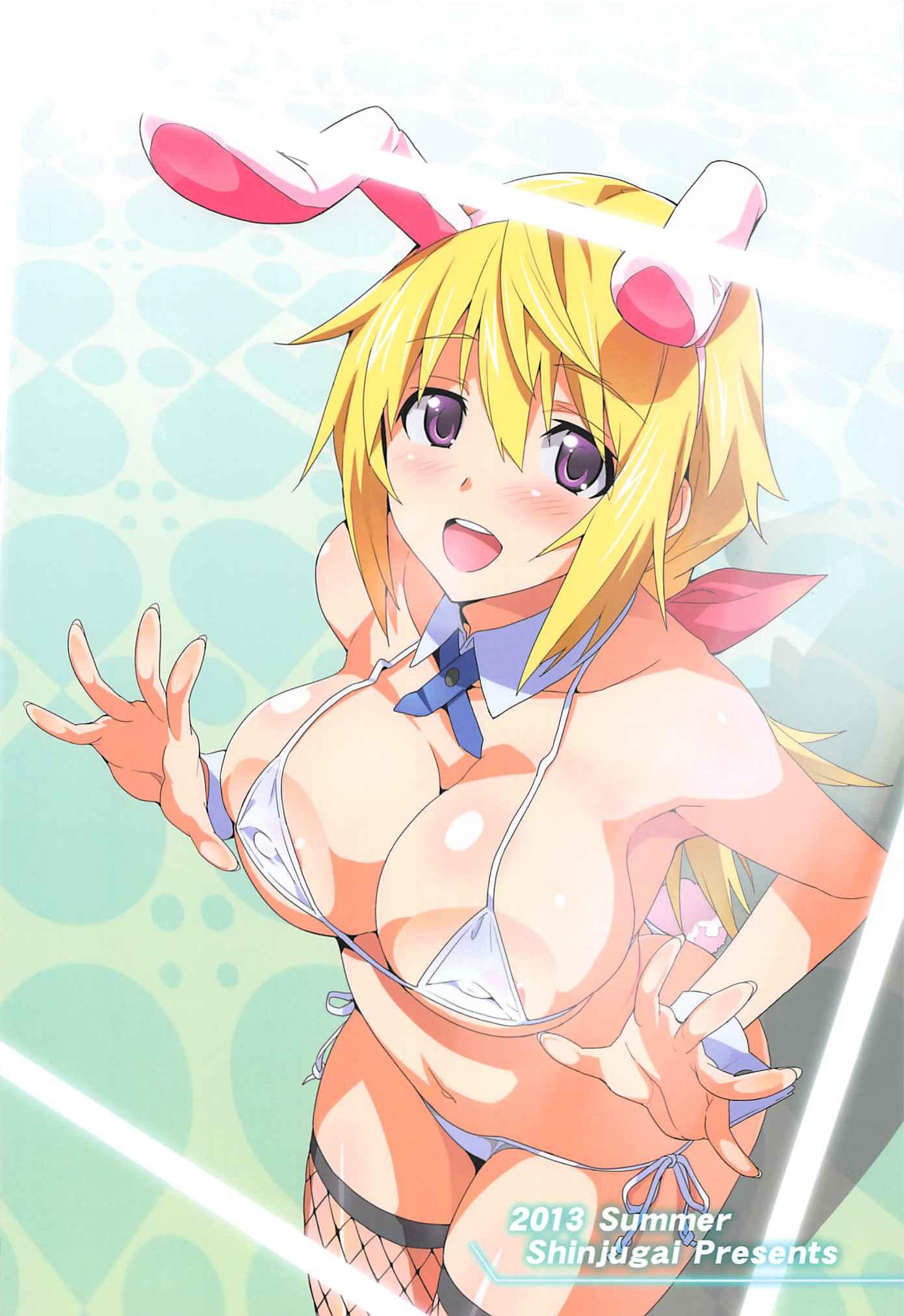 Infinite Stratos Dj - Sutotama 1