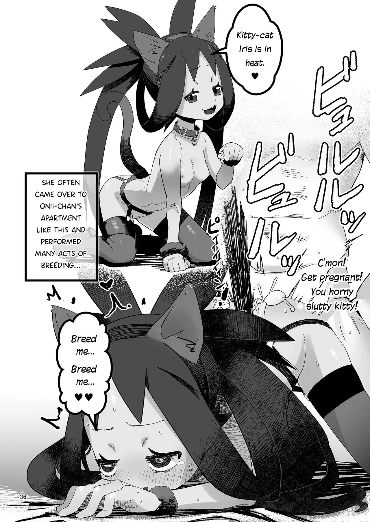 Iris Lovemaking Book 1