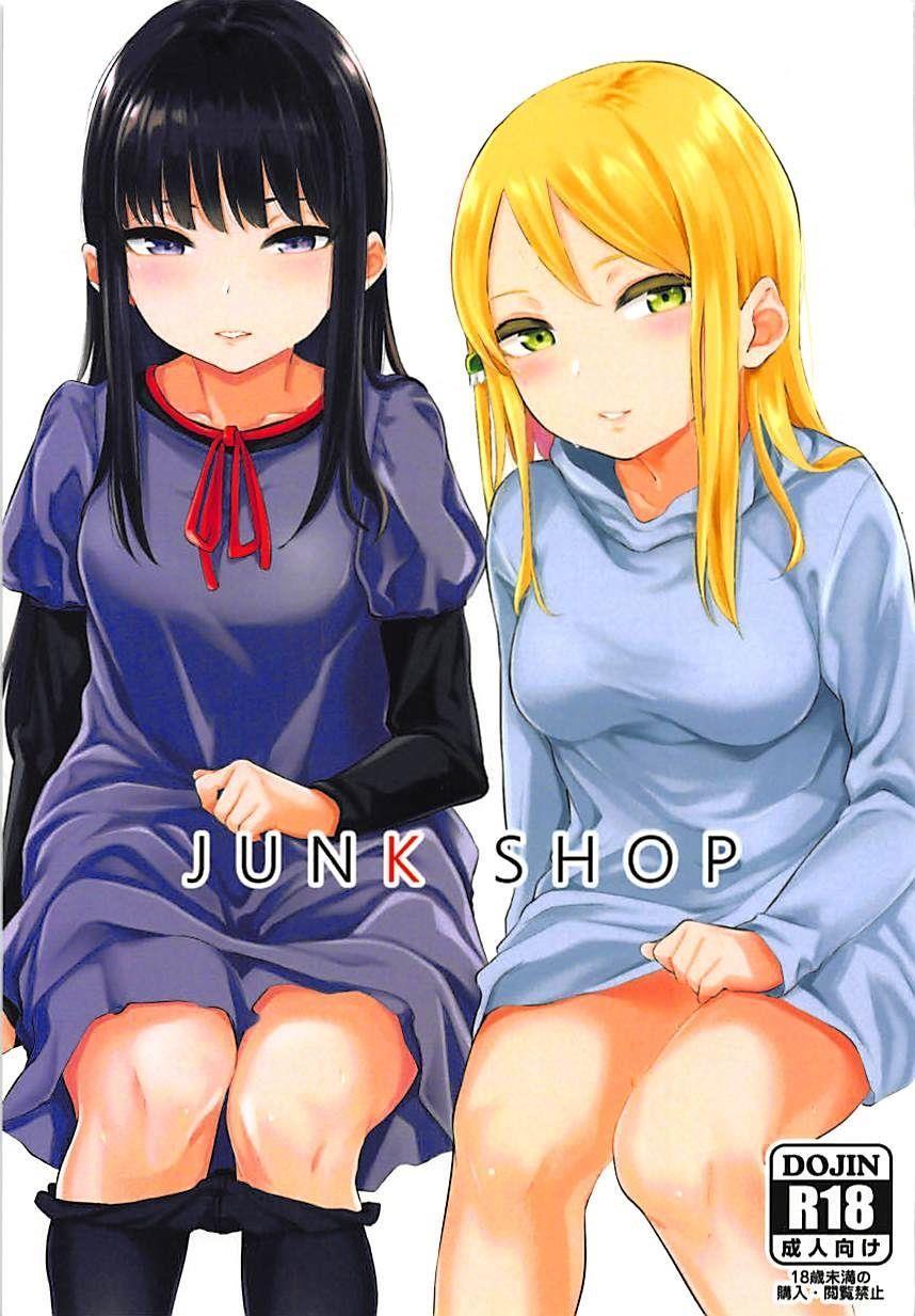 Junk Shop 1