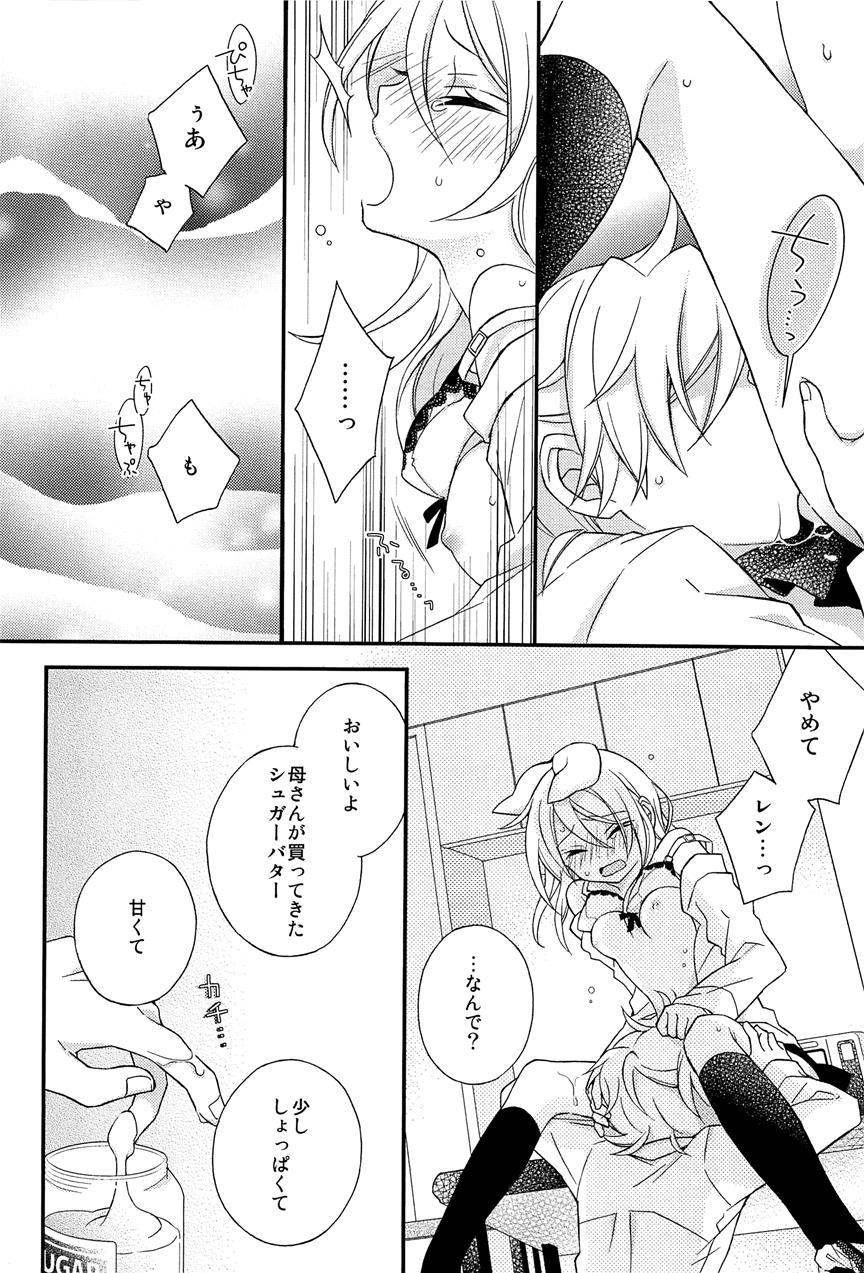 Kagamine Len X Rin Seijin Muke Sairokushuu Record Rimen 1