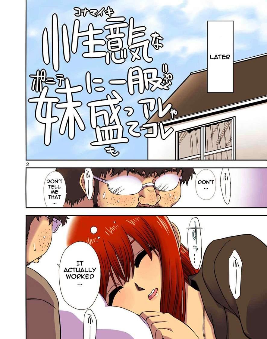 Konamaiki Na Poni-te Imouto Ni - Buku Motte Are Ya Kore 1