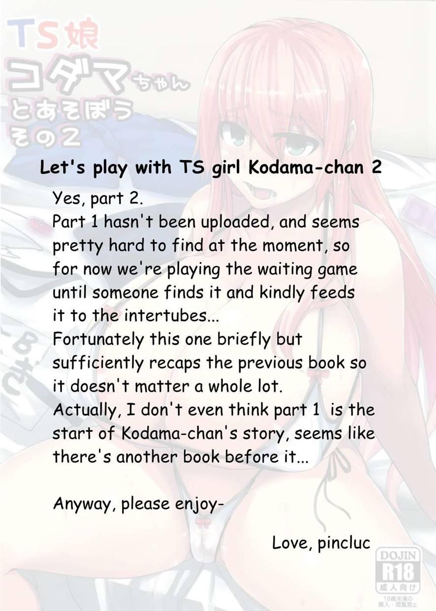 Let's Play With Ts Girl Kodama-chan 2