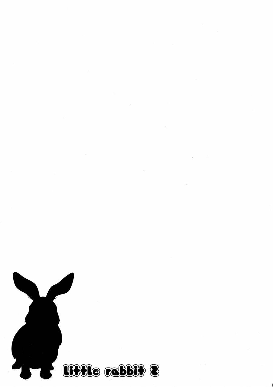 Little Rabbit 2