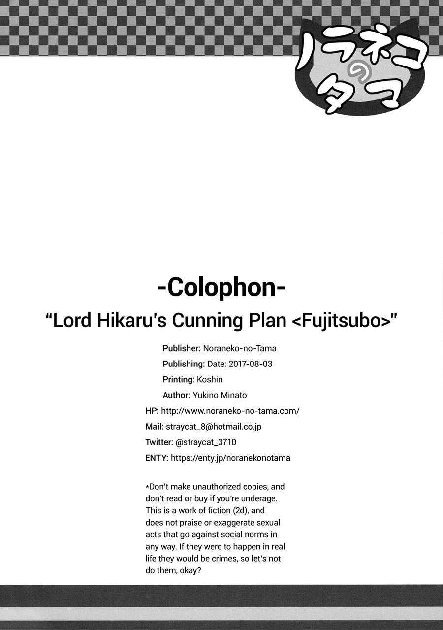 Lord Hikaru's Cunning Plan 4