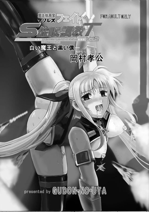 Mahou Shitsumukan Mazorezu Fate Saimin Choukyou 2