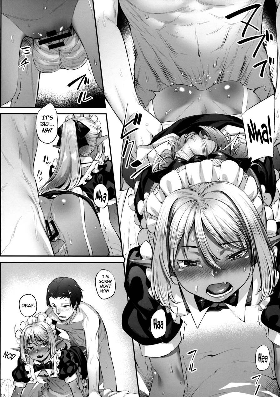 Maid-san To No Seikatsu 1