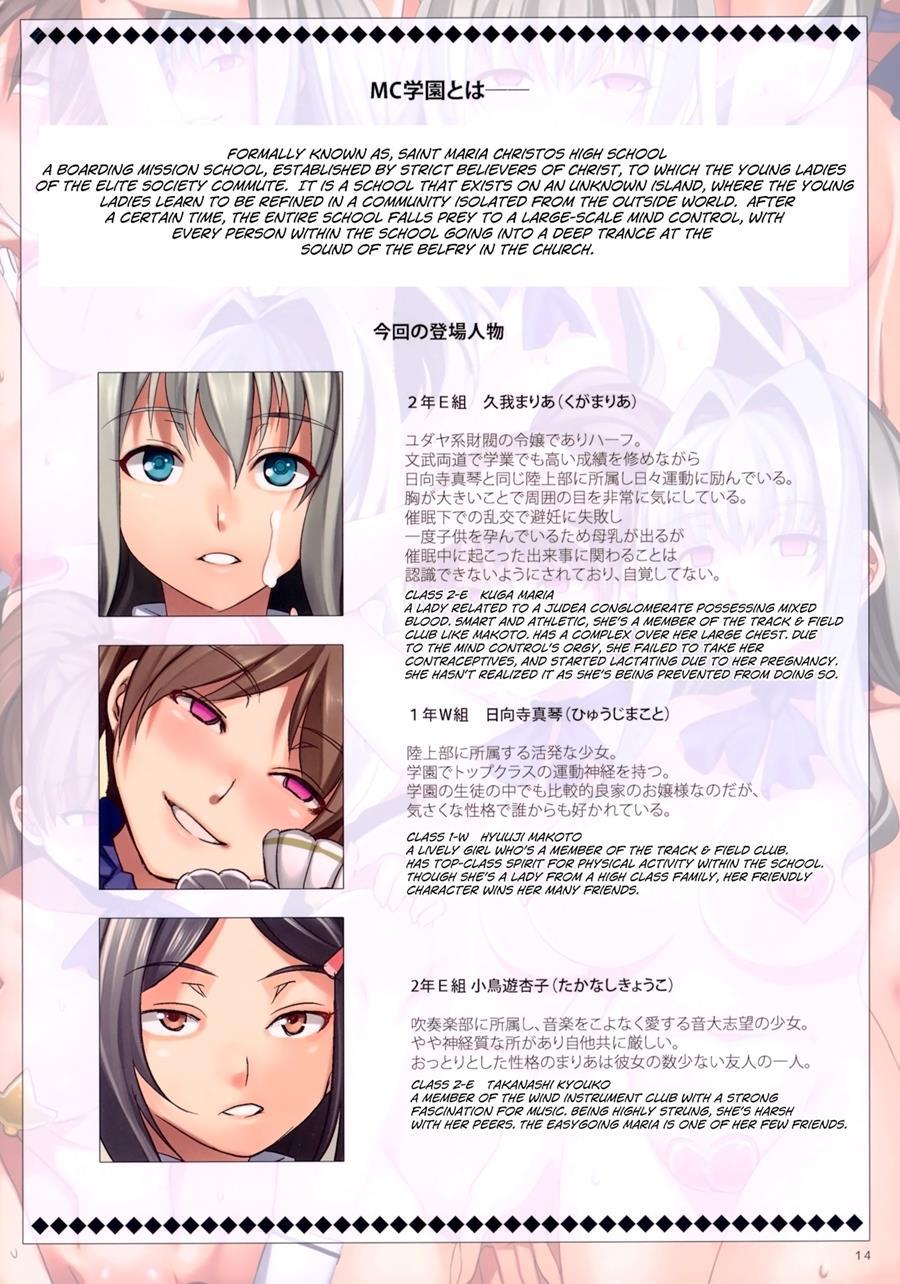 Mc High 4.5