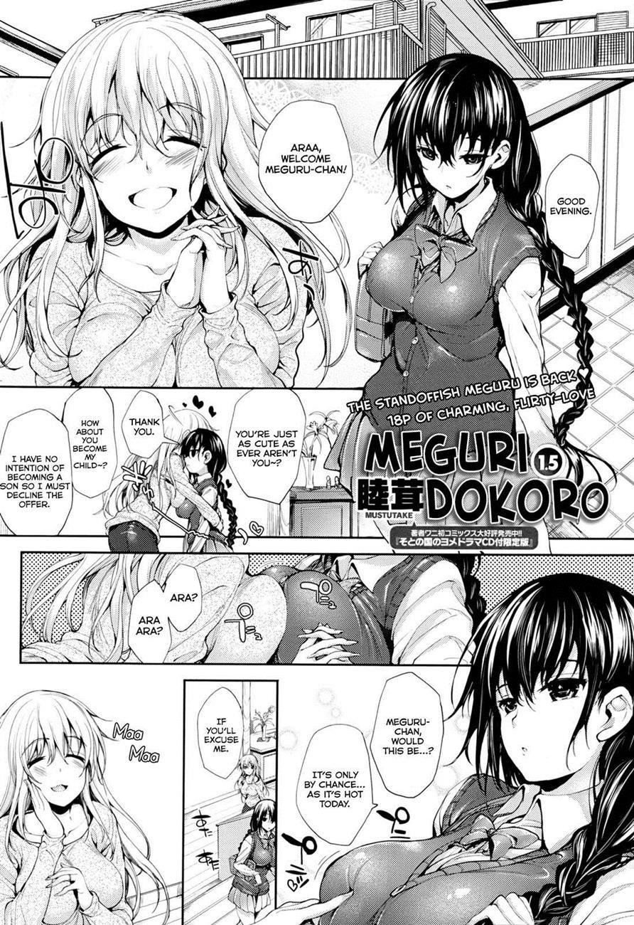 Meguridokoro 2