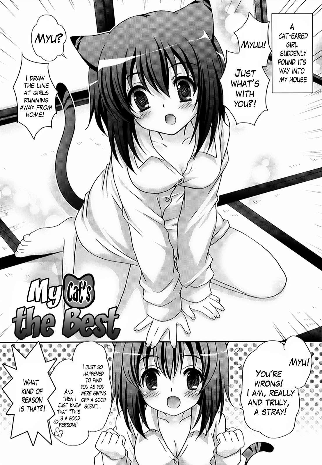 Moetion Graphics 1
