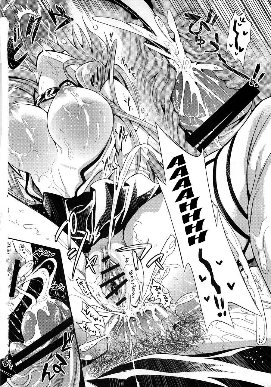 Monster Hunter Dj - Shujou Seikou 2