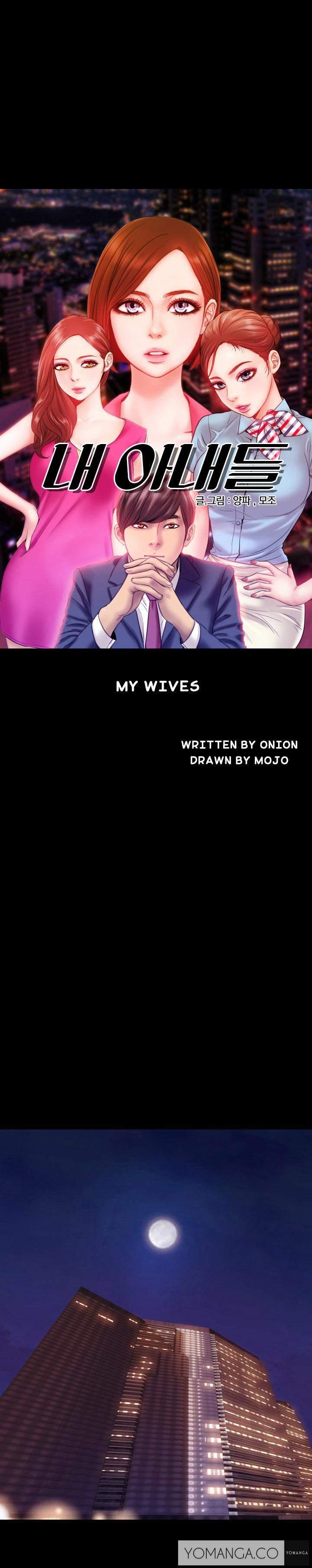 My Wives [korean] 1