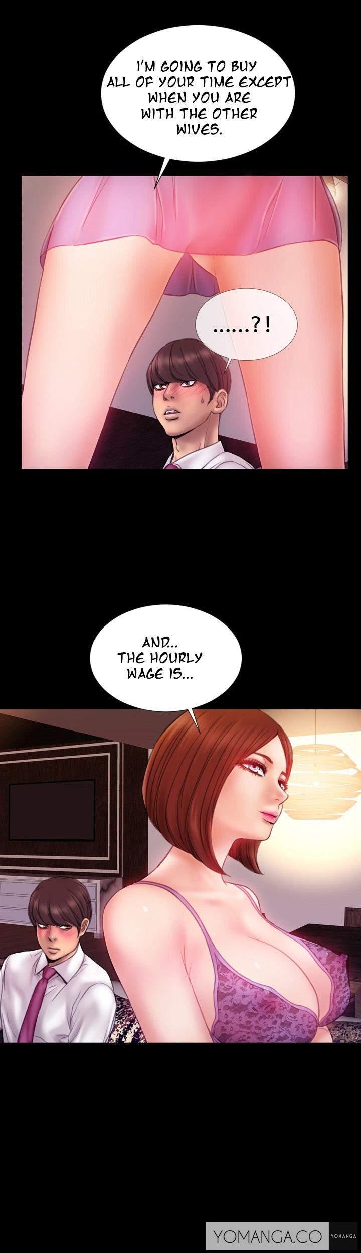 My Wives [korean] 1