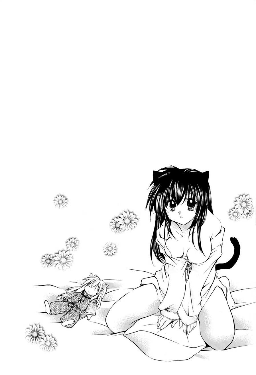 Neko Moe 1