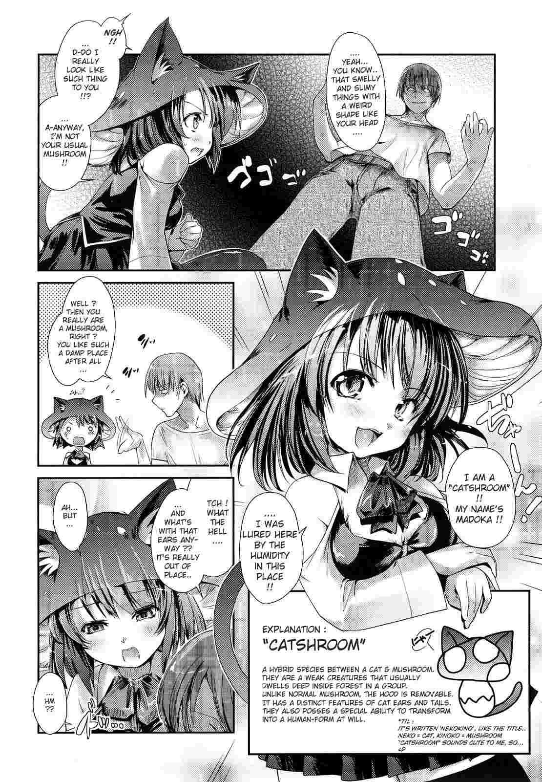 Nekokino To Ame No Machi 1