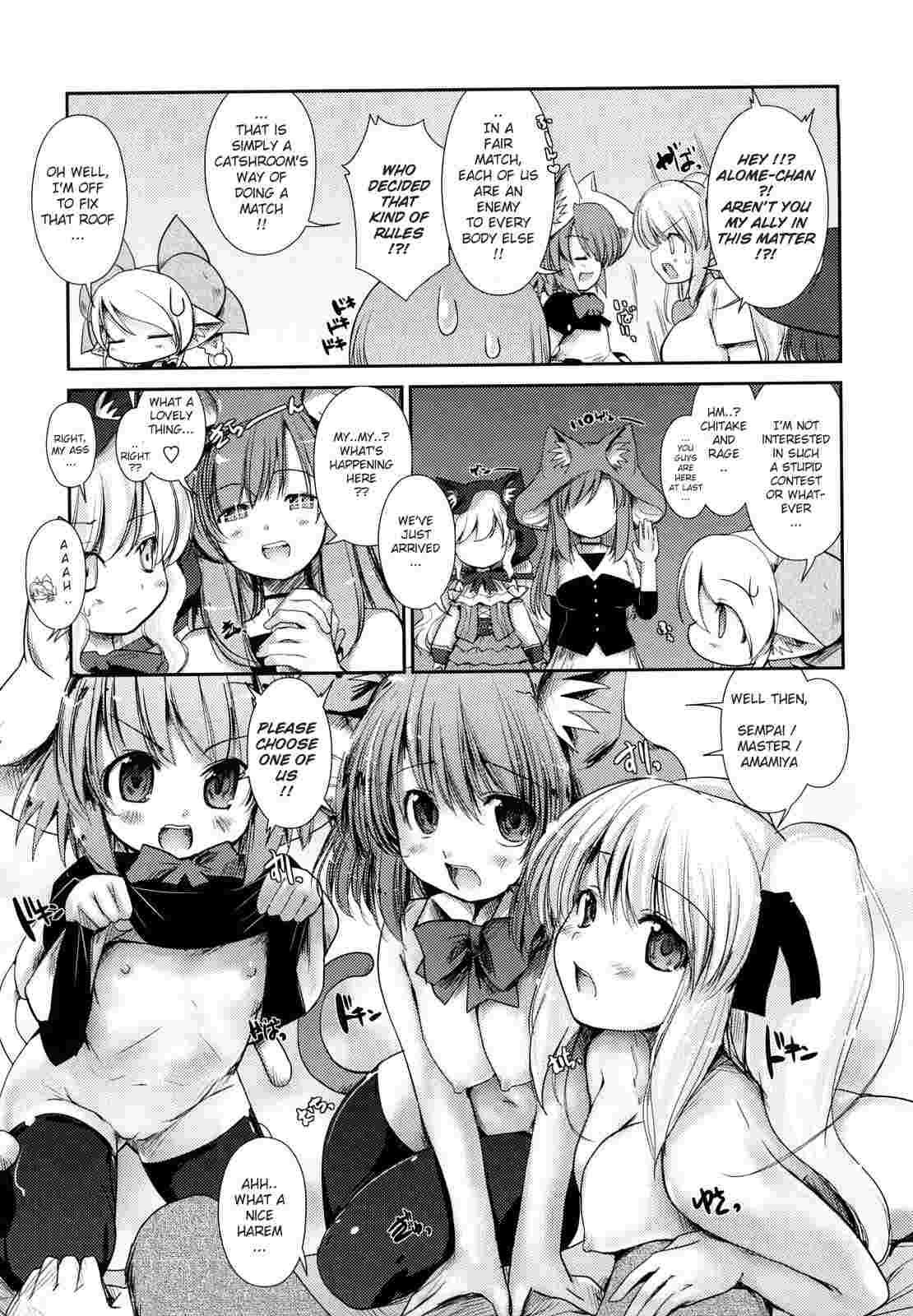 Nekokino To Ame No Machi 1