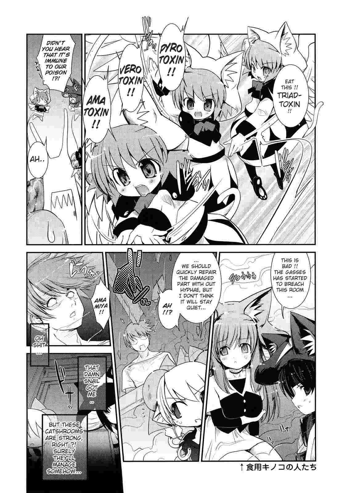 Nekokino To Ame No Machi 1