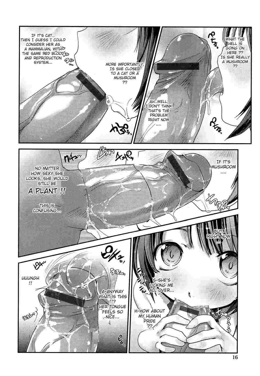 Nekokino To Ame No Machi 1