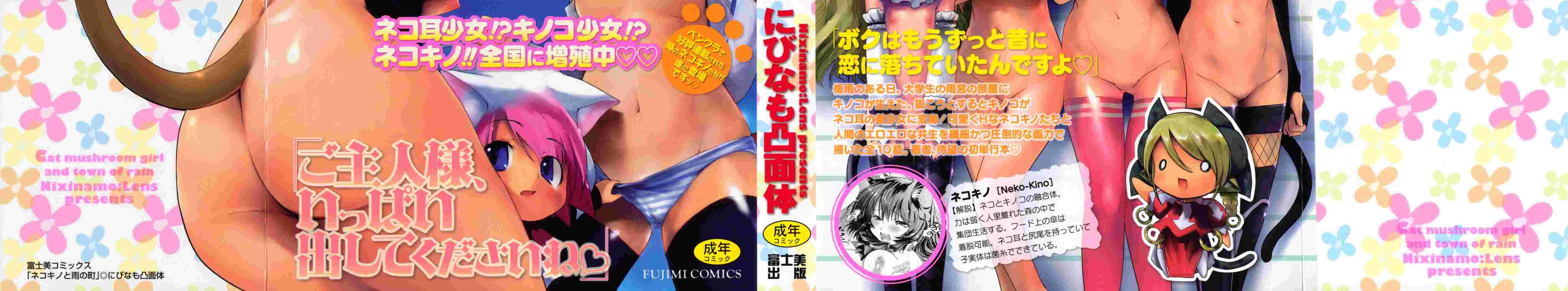 Nekokino To Ame No Machi 1